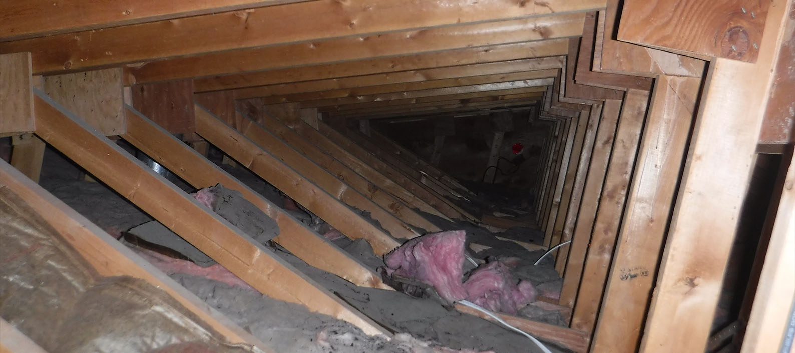 Attic Insulation Ventilation Home Inspection Austin Mn